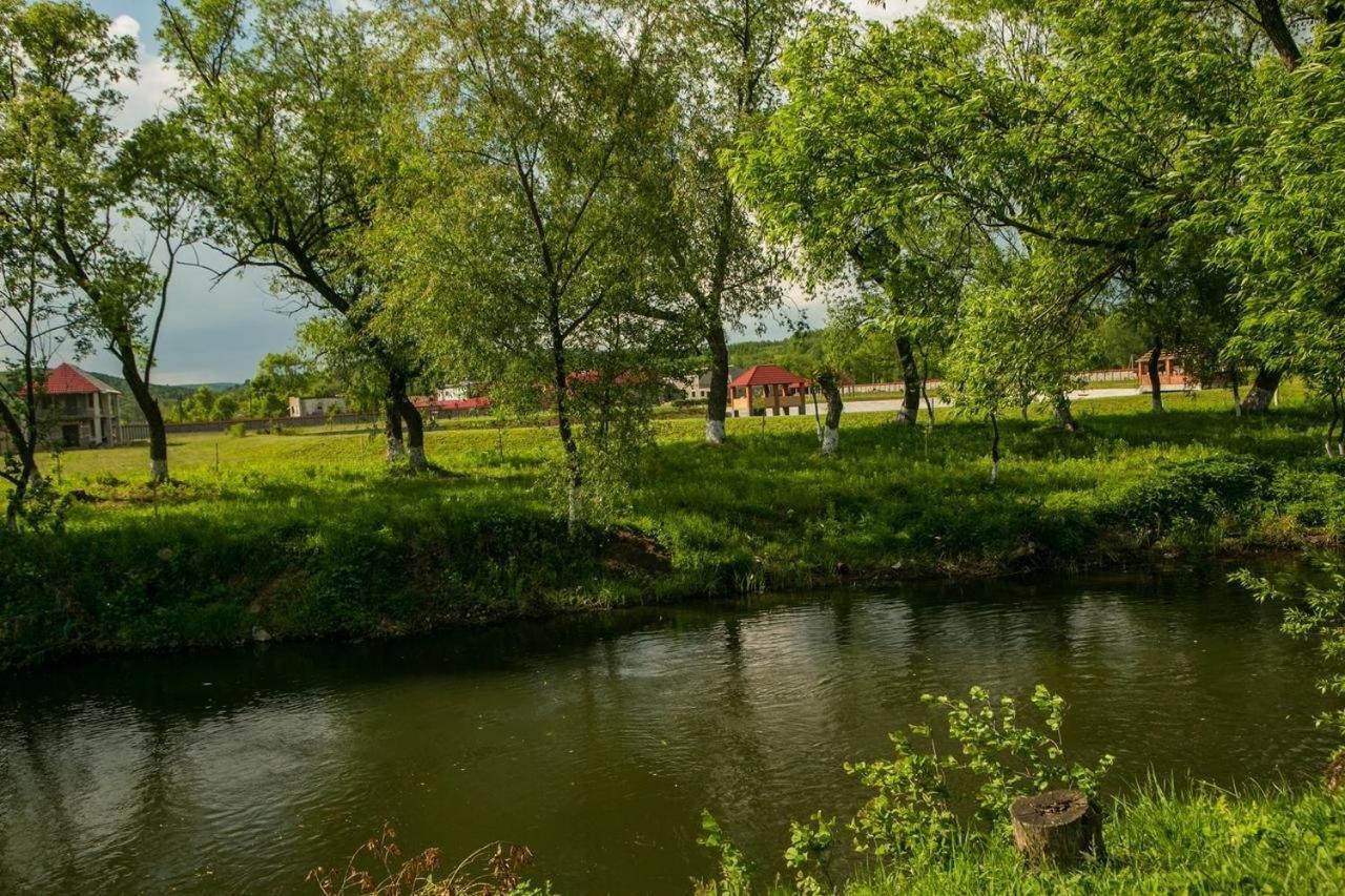 Illara Spa Hotel Irshava エクステリア 写真