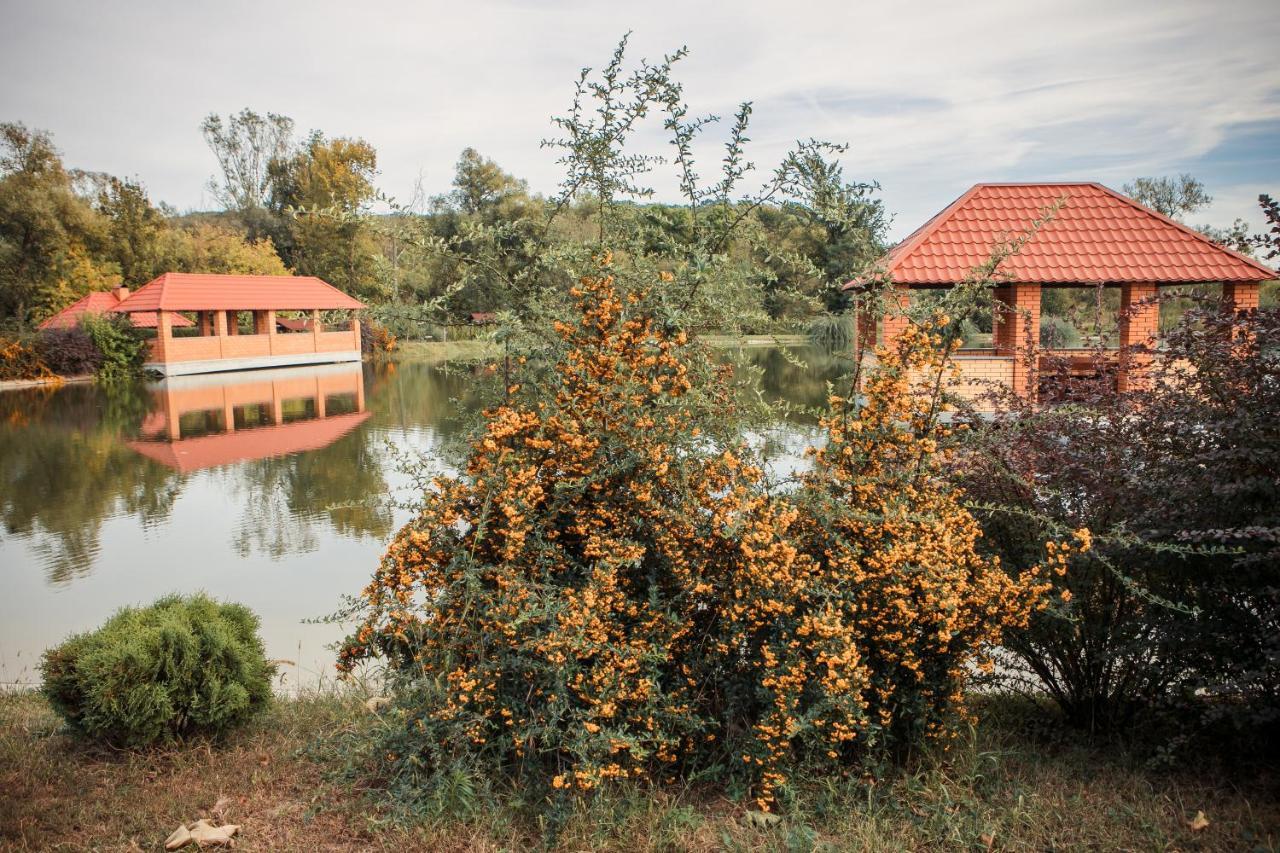 Illara Spa Hotel Irshava エクステリア 写真